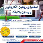 استخراج پروتئین، الکتروفورز و وسترن بلاتینگ