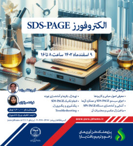 الکتروفورز SDS-PAGE
