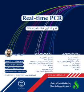 Real-time PCR