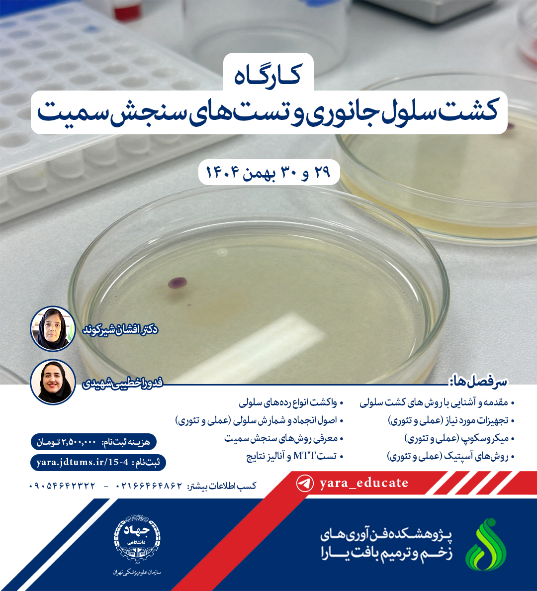 کارگاه کشت سلول جانوری و تست های سنجش سمیت