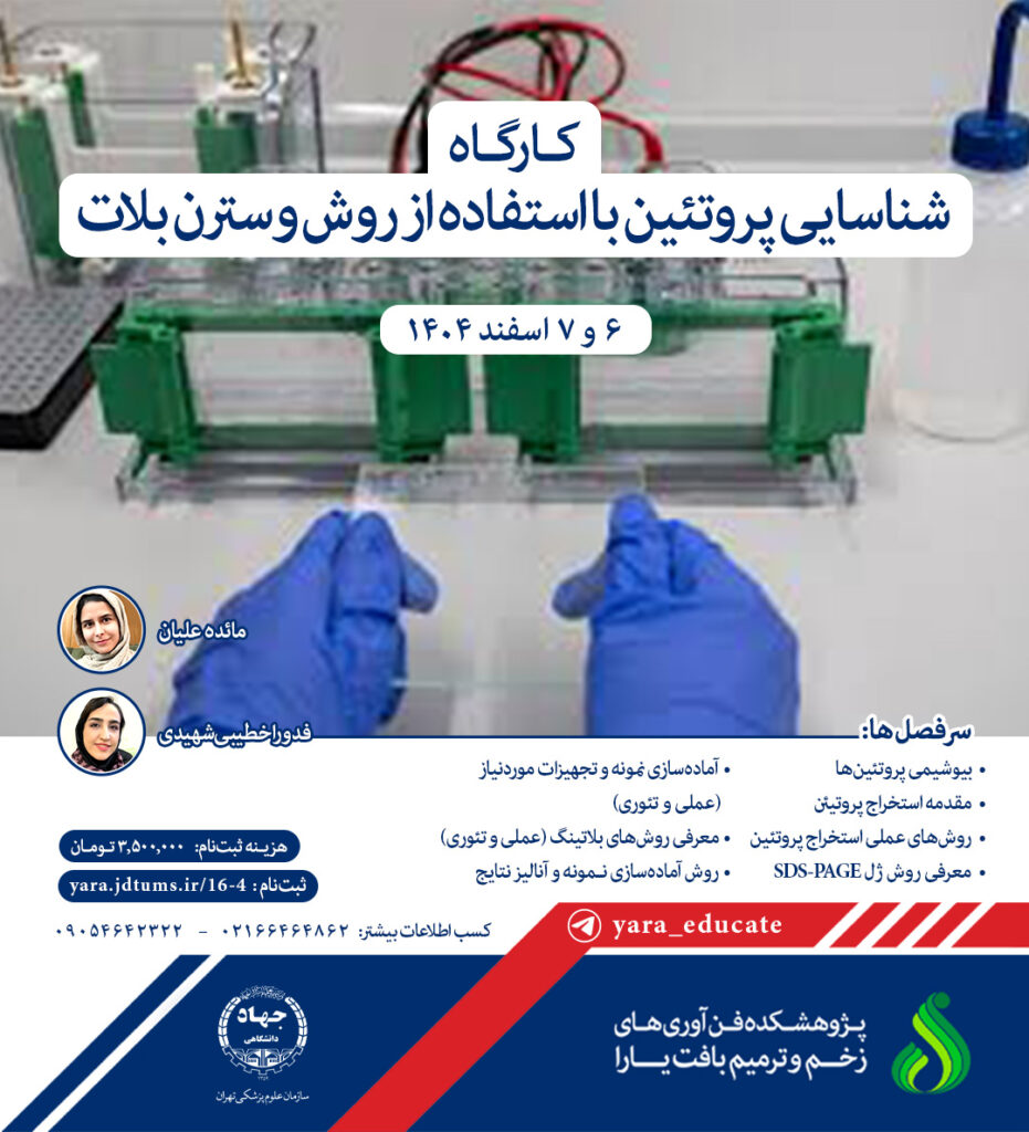 کارگاه شناسایی پروتئین با استفاده از روش وسترن بلات