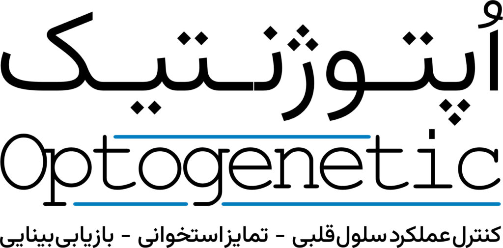 پژوهشهای اپتوژنتیک پژوهشهای اپتوژنتیک